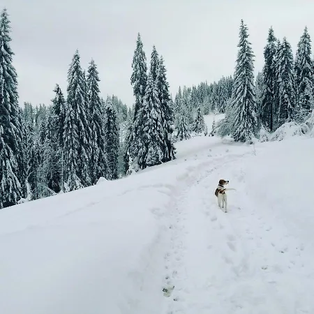 ホームステイ Goralove Pole *