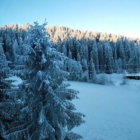 Rum i privatbostad Goralove Pole *
