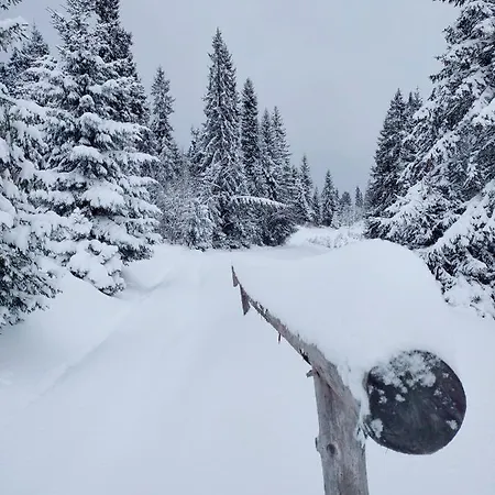 Goralove Pole * Brzegi (Tatra)