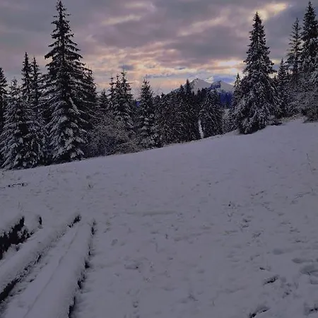 Goralove Pole Brzegi (Tatra)