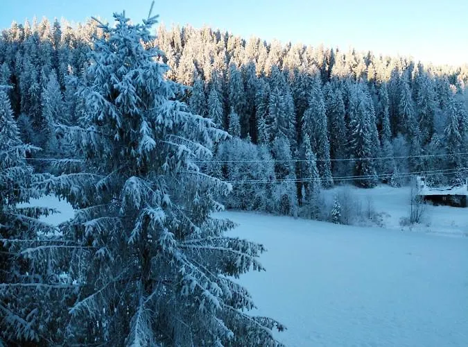 Privatunterkunft Goralove Pole *