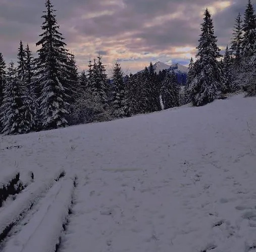 Goralove Pole Brzegi (Tatra)